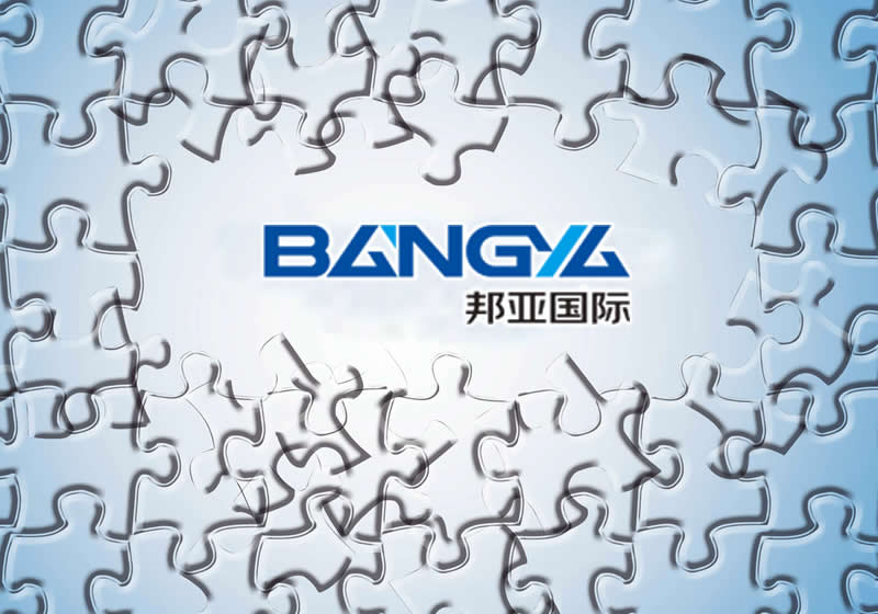 New website online of Bangya International！
