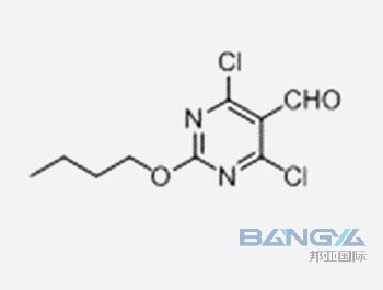 2-​butoxy-​4,​6-​dichloro-5-Pyrimidinecarboxalde​hyde